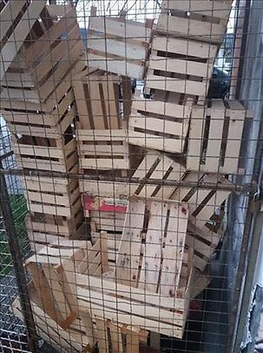 Other garden items: PVC gajbe povoljno + drvene gajbice Prodajem vecu kolicinu plasticnih at lalafo.rs — 3 Other garden items: PVC gajbe povoljno + drvene gajbice Prodajem vecu kolicinu plasticnih — 3