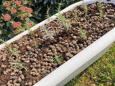 Maintenance devices: Unikatna žardinjera kada retro odvod ruzmarin i lavanda tek at lalafo.rs — 3 Maintenance devices: Unikatna žardinjera kada retro odvod ruzmarin i lavanda tek — 3