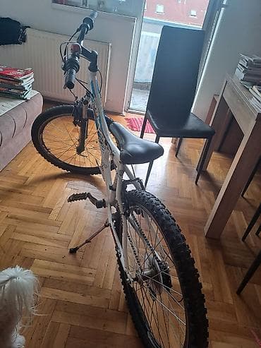 Planinski/MTB bicikl Polar Tornado - Veličina točkova: 24" - Ram na lalafo.rs — 1 Planinski/MTB bicikl Polar Tornado - Veličina točkova: 24" - Ram — 1