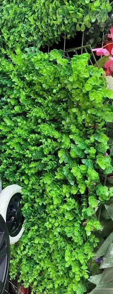 Garden Decor: Vestacko zbunje i zelenilo 60x40Ne
saljemo ispod 3 komada
919.0 at lalafo.rs — 2 Garden Decor: Vestacko zbunje i zelenilo 60x40Ne
saljemo ispod 3 komada
919.0 — 2