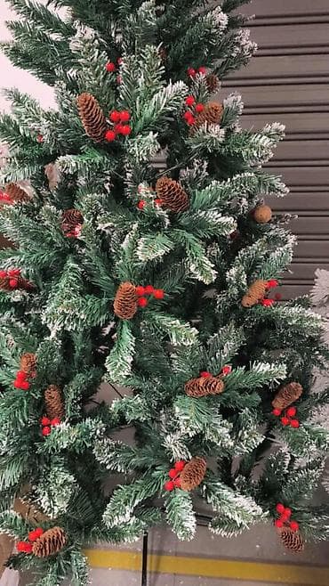 Cm
cm
cm
1cm 🍄 na lalafo.rs — 2 Cm
cm
cm
1cm 🍄 — 2