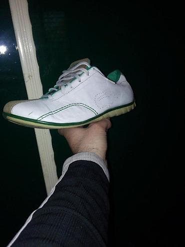 Trainers: LACOSTE PATIKE-CIPELE ORIGINAL PREVRNUTA KOZA AKCIJA | UKOLIKO at lalafo.rs — 3 Trainers: LACOSTE PATIKE-CIPELE ORIGINAL PREVRNUTA KOZA AKCIJA | UKOLIKO — 3
