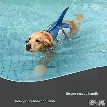 prsluk jaknica mango u: *** AKCIJA *** #1937 Prsluk za sigurno plivanje vašeg psa; Prsluk sa na lalafo.rs — 1 prsluk jaknica mango u: *** AKCIJA *** #1937 Prsluk za sigurno plivanje vašeg psa; Prsluk sa — 1