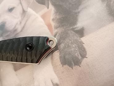 Hunting & Fishing: Fiksni nož Eafengrow EF132 sa futrolom - Sečivo: klasični drop-point at lalafo.rs — 9 Hunting & Fishing: Fiksni nož Eafengrow EF132 sa futrolom - Sečivo: klasični drop-point — 9