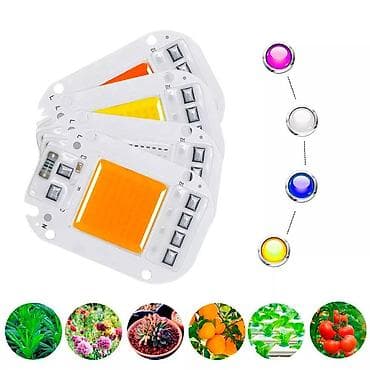 Led Dioda Reflektor 9-12v Dc 10w na Drajver na lalafo.rs — 6 Led Dioda Reflektor 9-12v Dc 10w na Drajver — 6