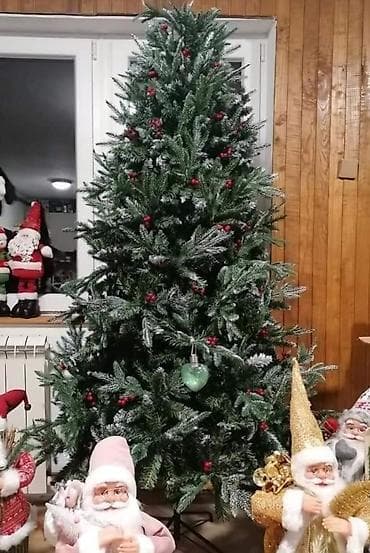 Jelka snezna, tri vrste grana sa bobicama 120cm-5000din 150cm 8000din na lalafo.rs — 1 Jelka snezna, tri vrste grana sa bobicama 120cm-5000din 150cm 8000din — 1