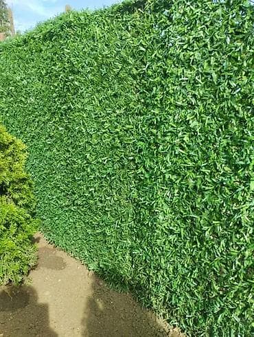 Ograde od vestacke trave 950 din na lalafo.rs — 1 Ograde od vestacke trave 950 din — 1