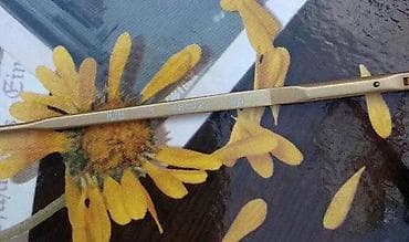 Giorgio Armani dioptrijski ram ORIGINAL. Original. Made in ITALY na lalafo.rs — 6 Giorgio Armani dioptrijski ram ORIGINAL. Original. Made in ITALY — 6