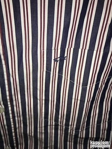 Original Paul & Shark kosulja 41 100% cotton Ramena 47cm at lalafo.rs — 2 Original Paul & Shark kosulja 41 100% cotton Ramena 47cm — 2