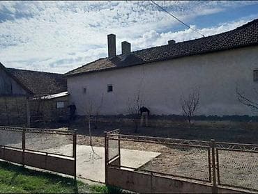 Hidroizolacija vlažnih zidova HIDROIZOLACIJA VLAŽNIH KUĆA Sečenje na lalafo.rs — 10 Hidroizolacija vlažnih zidova HIDROIZOLACIJA VLAŽNIH KUĆA Sečenje — 10