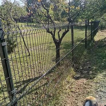 🔲 PANELNA OGRADA 3D 153x250 4 mm – AKCIJA 📍 Fence System doo – na lalafo.rs — 7 🔲 PANELNA OGRADA 3D 153x250 4 mm – AKCIJA 📍 Fence System doo – — 7