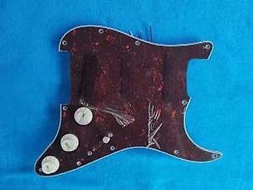 Sport & Hobby: STRATOCASTER PICKGUARD SSS - MASKA KOMPLET STRUJA | 100% Novo100% at lalafo.rs — 3 Sport & Hobby: STRATOCASTER PICKGUARD SSS - MASKA KOMPLET STRUJA | 100% Novo100% — 3