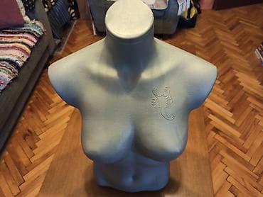 Ženski plastični torzo visine oko 60cm, bez ikakvih oštećenja na lalafo.rs Ženski plastični torzo visine oko 60cm, bez ikakvih oštećenja