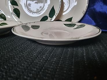 Sport & Hobby: Tacne za solje vintaz Villeroy i Boch Wild Rose. Tacne za at lalafo.rs — 4 Sport & Hobby: Tacne za solje vintaz Villeroy i Boch Wild Rose. Tacne za — 4