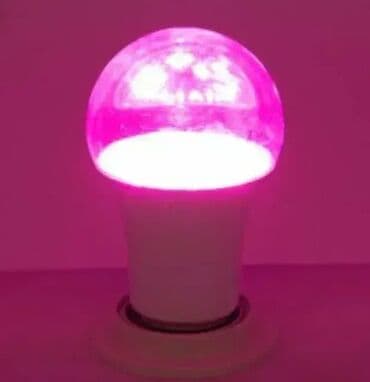 Baštenska rasveta: Šifra artikla: 5124 Jedinica mere: kom Artikal: LED sijalica LED: SMD na lalafo.rs — 6 Baštenska rasveta: Šifra artikla: 5124 Jedinica mere: kom Artikal: LED sijalica LED: SMD — 6