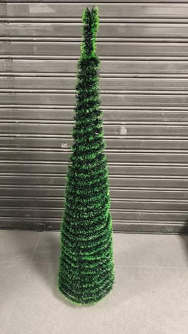 Kupasta jelka – više dimenzija Prodajem prelepe kupaste jelke na lalafo.rs — 3 Kupasta jelka – više dimenzija Prodajem prelepe kupaste jelke — 3