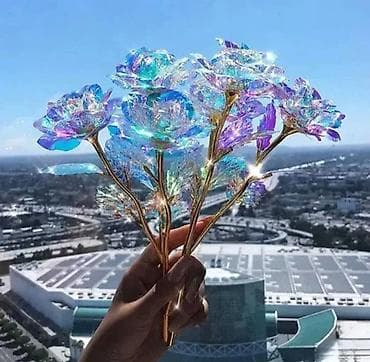 za svaki dan: Magična Svetleća Ruža - Divan Poklon Opis: Idealno za posebne at lalafo.rs — 3 za svaki dan: Magična Svetleća Ruža - Divan Poklon Opis: Idealno za posebne — 3