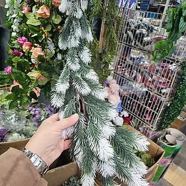 NOVO NOVO NOVO
GIRLANDA 2M
CENA: 2000 din na lalafo.rs — 7 NOVO NOVO NOVO
GIRLANDA 2M
CENA: 2000 din — 7