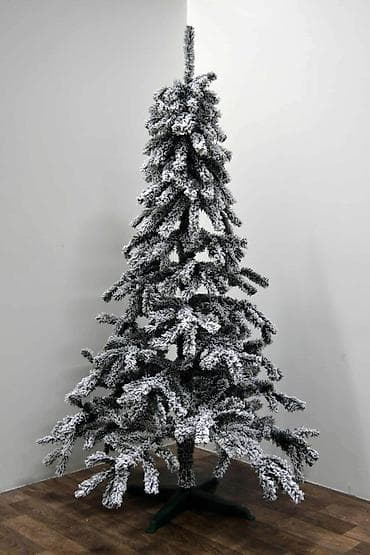 Novogodišnja jelka kraljevska snezna jela 120cm 11500 din (uplata pa na lalafo.rs — 2 Novogodišnja jelka kraljevska snezna jela 120cm 11500 din (uplata pa — 2