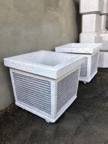 Tuja Žardinjera 🌿 Hit! Dodajte prirodu svom dvorištu sa Tuja na lalafo.rs Tuja Žardinjera 🌿 Hit! Dodajte prirodu svom dvorištu sa Tuja