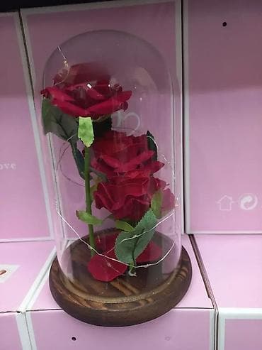 Večna LED ruža u staklu - Idealan poklon za 8. mart 🌹💡 NOVO! "Večna" na lalafo.rs — 1 Večna LED ruža u staklu - Idealan poklon za 8. mart 🌹💡 NOVO! "Večna" — 1