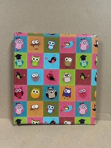 Foto-album sa šarenim sovama i pticama - Tvrdi povez sa živopisnim na lalafo.rs Foto-album sa šarenim sovama i pticama - Tvrdi povez sa živopisnim