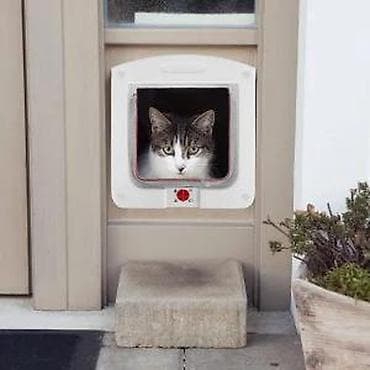 prsluk jaknica mango u: Mačja vrata sa 4-smernom bravom (model M) - Funkcija zaključavanja u at lalafo.rs — 8 prsluk jaknica mango u: Mačja vrata sa 4-smernom bravom (model M) - Funkcija zaključavanja u — 8