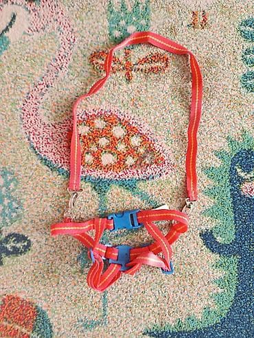 Komplet garderobe za bebu (dečak), različitih veličina za prve mesece na lalafo.rs — 6 Komplet garderobe za bebu (dečak), različitih veličina za prve mesece — 6