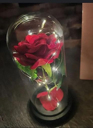 Ruža sa Staklenim Zvonom - Crvena 🌹💎 (Poklon) Karakteristike: Večna na lalafo.rs — 2 Ruža sa Staklenim Zvonom - Crvena 🌹💎 (Poklon) Karakteristike: Večna — 2