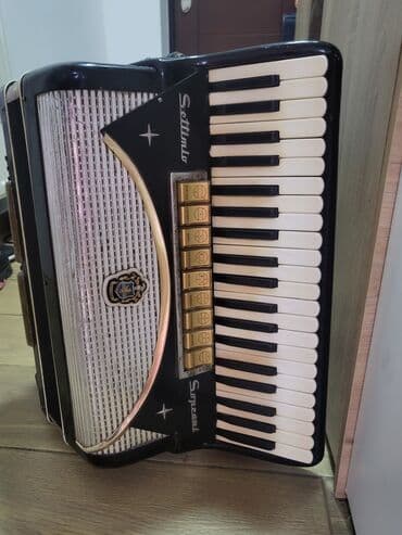 Accordions: SETTIMIO SOPRANI harmonika 120 basova at lalafo.rs — 4 Accordions: SETTIMIO SOPRANI harmonika 120 basova — 4