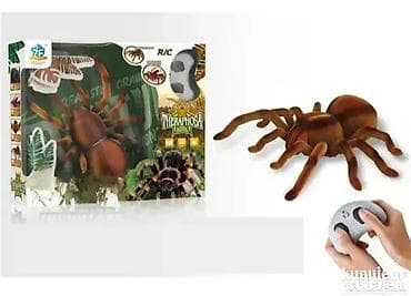 Džinovski pauk Tarantula na daljinski 🕷️🎮 Veličina i izgled čine da na lalafo.rs — 1 Džinovski pauk Tarantula na daljinski 🕷️🎮 Veličina i izgled čine da — 1