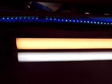 Led Neonke tripl diode line 120w 1.2m sa armaturom. Led Neonke duple na lalafo.rs — 10 Led Neonke tripl diode line 120w 1.2m sa armaturom. Led Neonke duple — 10