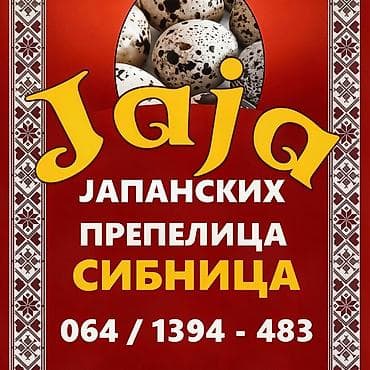 U stalnoj ponudi uvek sveža i lekovita jaja japanskih prepelica. Cena at lalafo.rs — 9 U stalnoj ponudi uvek sveža i lekovita jaja japanskih prepelica. Cena — 9