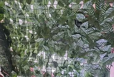 Garden Decor: Veštačka ograda sa lišćem 3x1 m – Na stanju Ova veštačka ograda na at lalafo.rs — 4 Garden Decor: Veštačka ograda sa lišćem 3x1 m – Na stanju Ova veštačka ograda na — 4