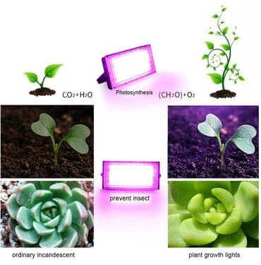 Garden Lighting: Led Reflektor Rast Biljki Led Grow Full Spectrum 50w 220v at lalafo.rs — 2 Garden Lighting: Led Reflektor Rast Biljki Led Grow Full Spectrum 50w 220v — 2