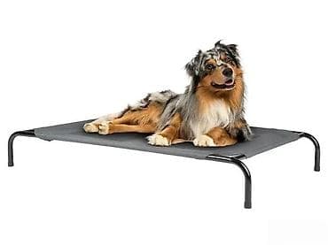 prsluk jaknica mango u: Povišeni krevet za pse – Zoofari - Stabilna, metalna konstrukcija sa at lalafo.rs — 1 prsluk jaknica mango u: Povišeni krevet za pse – Zoofari - Stabilna, metalna konstrukcija sa — 1