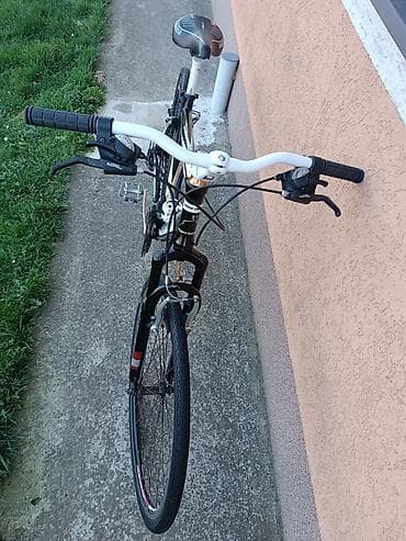 Bicycles for adults: Bicikl Capriolo Roadster 28" Aluminijumski ram Bicikla Capriolo at lalafo.rs — 10 Bicycles for adults: Bicikl Capriolo Roadster 28" Aluminijumski ram Bicikla Capriolo — 10