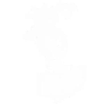 Klip set Meteor Piston – Green Power Opis: - Komplet klipa za na lalafo.rs Klip set Meteor Piston – Green Power Opis: - Komplet klipa za