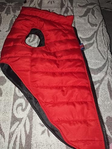 Zimski prsluk za psa – crveni, postavljen - Topao, prošiven prsluk sa na lalafo.rs — 4 Zimski prsluk za psa – crveni, postavljen - Topao, prošiven prsluk sa — 4