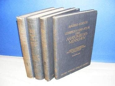 Rauber-Kopsch 1-4Lehrbuch und Atlas der Anatomie des Menschen na lalafo.rs — 4 Rauber-Kopsch 1-4Lehrbuch und Atlas der Anatomie des Menschen — 4