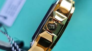 FREDRIC Tourbillon – muški mehanički sat - Mehanizam na lalafo.rs — 6 FREDRIC Tourbillon – muški mehanički sat - Mehanizam — 6