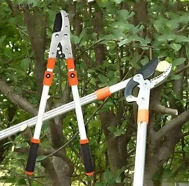 Teleskopske Makaze za Orezivanje i Sečenje Dobrodošli u Davidov Shop na lalafo.rs — 1 Teleskopske Makaze za Orezivanje i Sečenje Dobrodošli u Davidov Shop — 1
