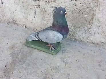 Betonska Figura Golub BLUE STONE DOO nudi prelepu betonsku figuru na lalafo.rs — 2 Betonska Figura Golub BLUE STONE DOO nudi prelepu betonsku figuru — 2