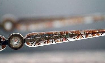 Vintage Daniel Swarovski dioptrijski ram. Predivan vintage ram Daniel na lalafo.rs — 1 Vintage Daniel Swarovski dioptrijski ram. Predivan vintage ram Daniel — 1