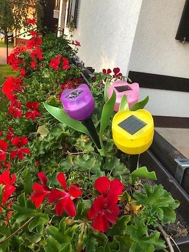 Garden Lighting: LED solarne baštenske lampe u obliku tulipana – Flower Power “LED at lalafo.rs — 1 Garden Lighting: LED solarne baštenske lampe u obliku tulipana – Flower Power “LED — 1