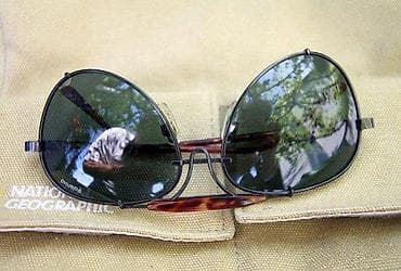 za svaki dan: Polaroid 4529 naočare za sunce. Kao nove. POLAROID SUNGLASSES at lalafo.rs — 3 za svaki dan: Polaroid 4529 naočare za sunce. Kao nove. POLAROID SUNGLASSES — 3