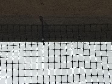 eko koza sa: Preduzece eko efekt global d. O. O. Bavi se: dezinsekcijom at lalafo.rs — 8 eko koza sa: Preduzece eko efekt global d. O. O. Bavi se: dezinsekcijom — 8