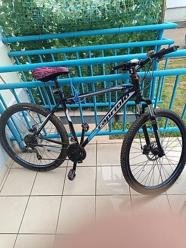 Planinski bicikl Capriole 26” - Aluminijumski ram sa ravnim kormanom na lalafo.rs — 1 Planinski bicikl Capriole 26” - Aluminijumski ram sa ravnim kormanom — 1