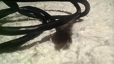 Hama kabal Slanje Brzom postom ide na odgovornost Primaoca. ( Posto na lalafo.rs — 4 Hama kabal Slanje Brzom postom ide na odgovornost Primaoca. ( Posto — 4