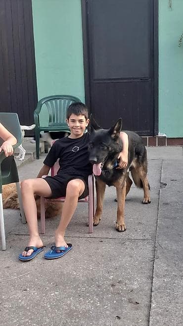 za svaki dan: ❗ IZGUBLJEN PAS – DON ❗
🙏 MOLIMO ZA POMOĆ I DELJENJE 🙏 Don je nestao i at lalafo.rs — 8 za svaki dan: ❗ IZGUBLJEN PAS – DON ❗
🙏 MOLIMO ZA POMOĆ I DELJENJE 🙏 Don je nestao i — 8